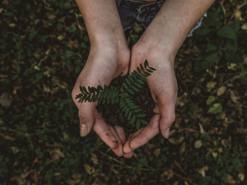 讓環境保育變成一門「有價值的生意」 生態服務給付