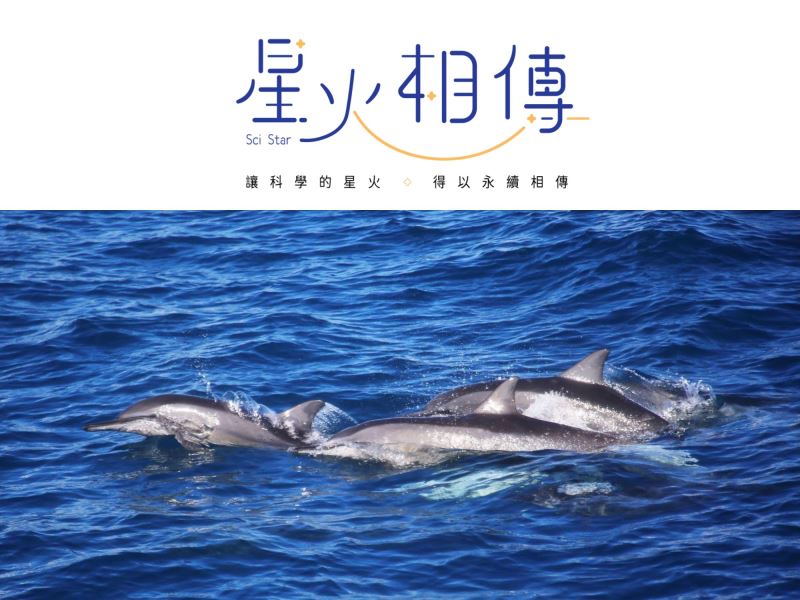 航班升級再出航，科學繪圖探索「鯨」彩生活