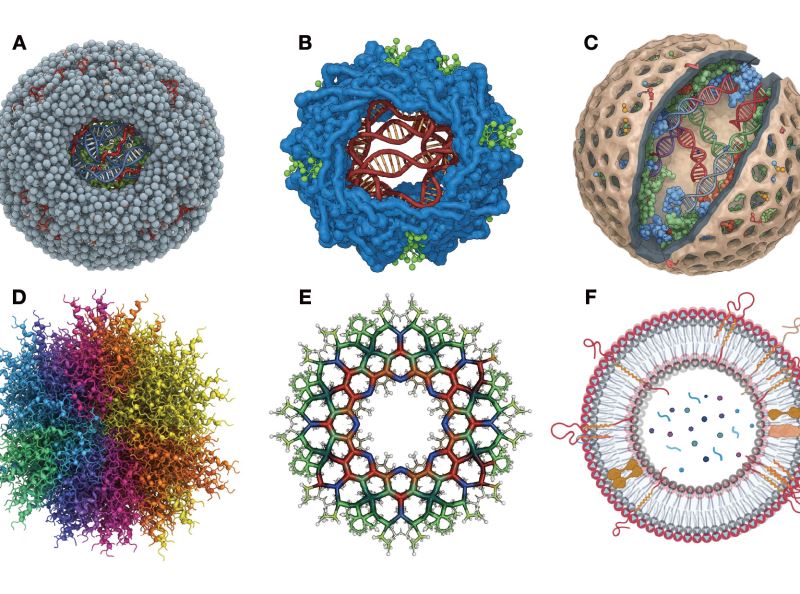 基因藥物專「車」直送 談遞送材料的工程與設計