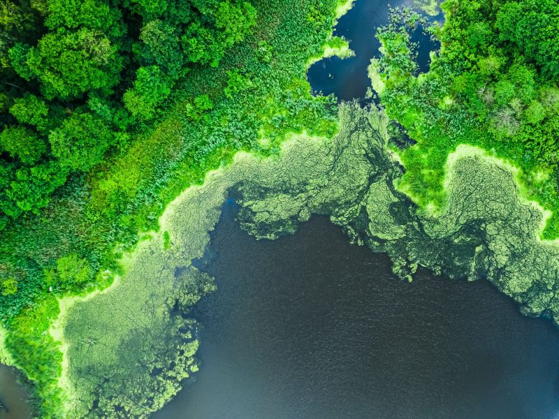 曾經被認為可耐熱的微小生物也不敵全球暖化 