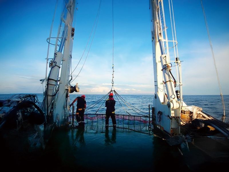 海洋保育最前線 不容忽視的沿海生態系與 不容忽視的沿海生態系與 關鍵魚類棲地 