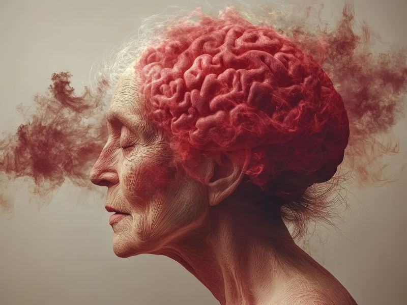 「長壽果蠅」的祕密？ 發現大腦調控壽命的新線索