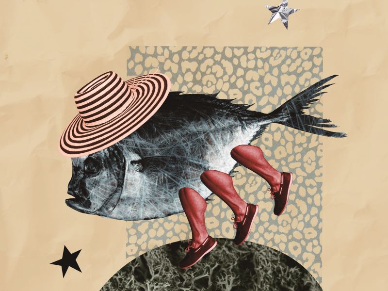 魚怎麼長出腳走上陸地？ 從化石中找答案