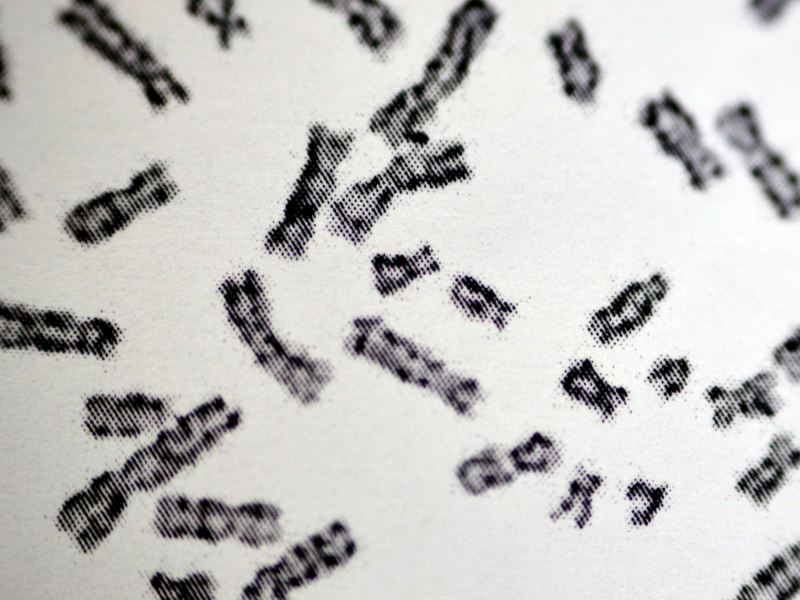 性別如何被決定？是二元論還是光譜學？從基因遺傳、荷爾蒙調控到生理樣貌的多層次探討