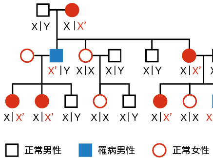 男性為主體的醫學研究 能同樣套用在女性身上嗎？談邁向性別平等的精準醫療