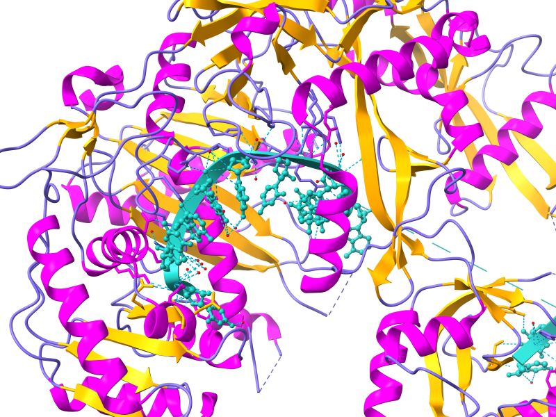 答案不只一種？同一段 RNA 可能合成不同蛋白質